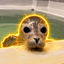 Coin image for xhERaecDMFPhqJzs9HNDo2nuFAAdjSZEBKE9BJLpump