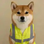 Coin image for zAkhVZxPvAzGHDhMpE9uKBcrGbFYcfvPUgcSJtKpump