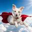 Coin image for zD7dsDeyniGt6V1am7mBDKUx5Bz7dRjSXVkripr2egE