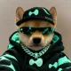Coin image for zDgFcAhMXxsKPgHZGsi3FKNRgUCh3t1z1yKwczepump