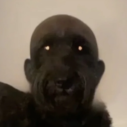 Coin image for zXWXHDAHk3JkFDjsf4kdVJxRzvCP89nFyHzTe1rpump
