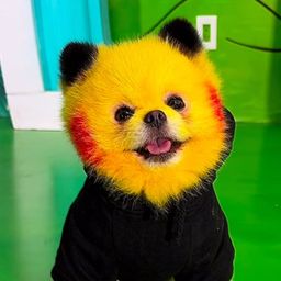 Coin image for ze2CABGownWwaGDZB2U1Lviq3f5xpT8s5azbLukpump