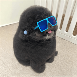 Coin image for zxggb2wbtUP9zoAyq8o7LkYRK7mRVrWNPbhvsxjpump